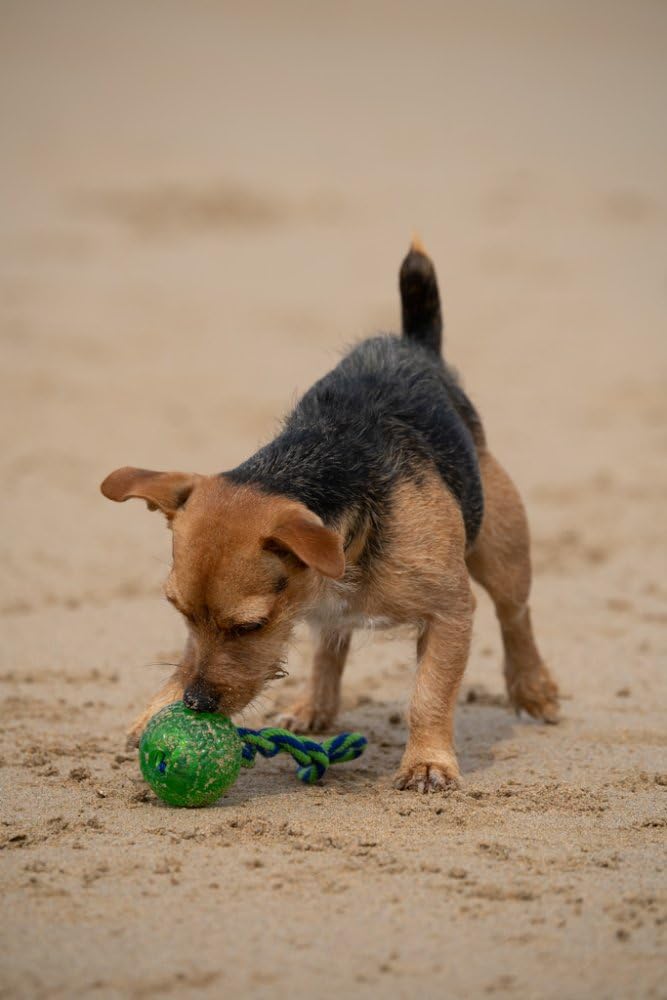 Petface Durable Chew and Bouncy Rope Ball for Dogs | Synthetic Material | Multicolour 6