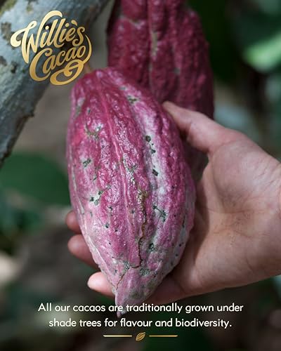 Willie's Cacao - 100% Cocoa with Pistachio & Date - No Added Sugar Chocolate Bar 9