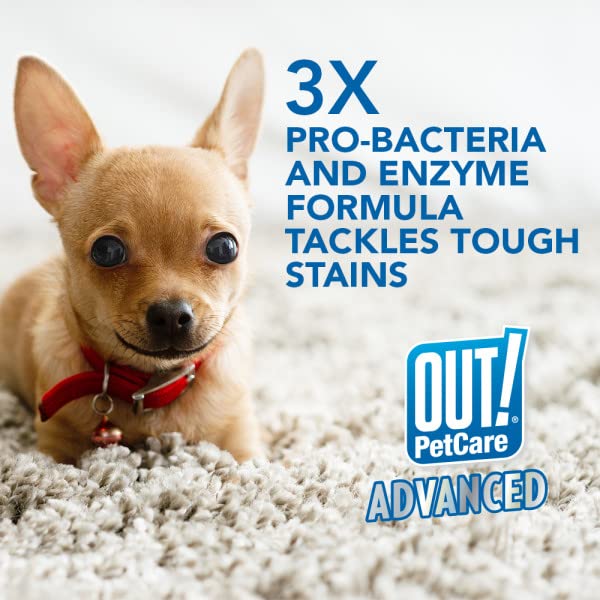 OUT! Super Strength Pet Stain and Odour Remover - 500ml | Natural Pro-Bacteria & Enzyme Formula | Vanilla Scent