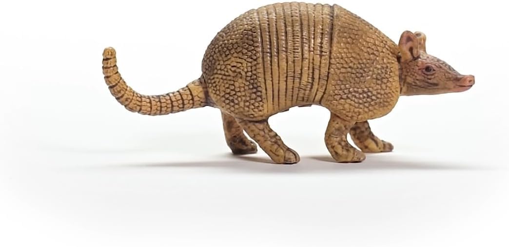 Schleich WILD LIFE Armadillo Figurine 14874 | Ages 3+ | Realistic Polyvinyl Chloride Toy 7