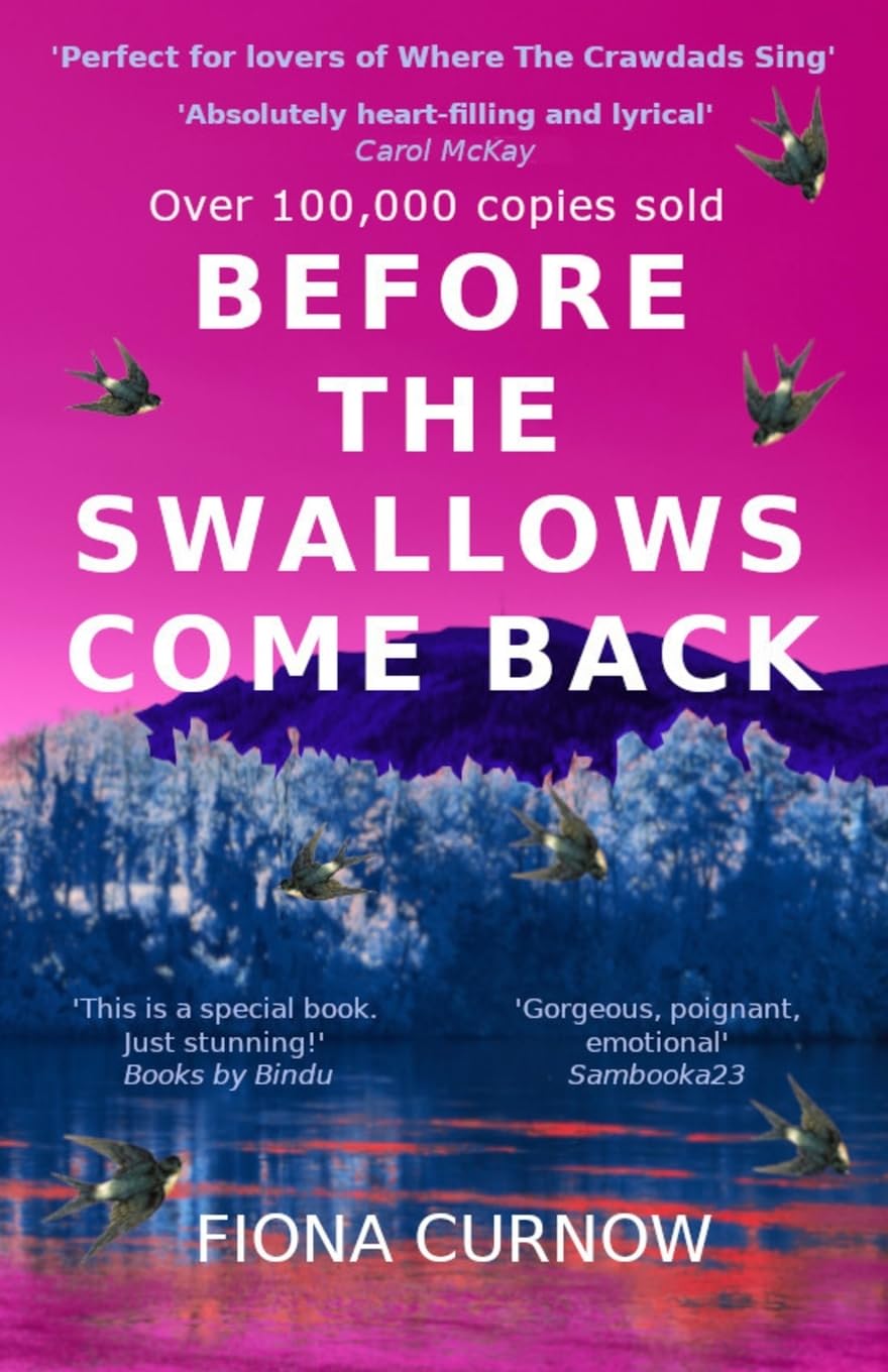 Before the Swallows Come Back by Fiona Curnow - Women's Literary Fiction | Paperback