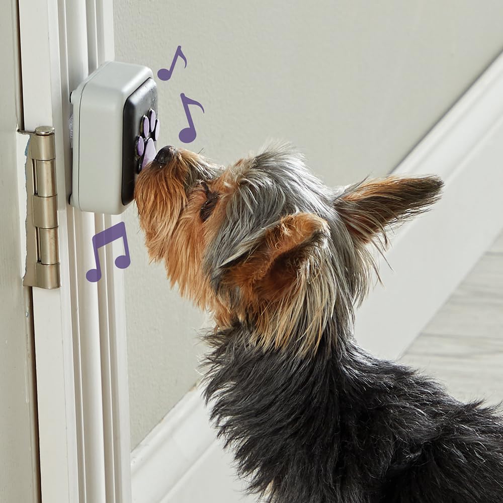 Hunger for Words Talking Pet Doorbell - Recordable Sound | Plastic