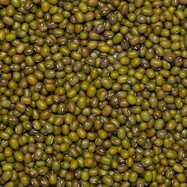 Wholefood Earth Bio-Mungbohnen 500 g | Gentechnikfrei | Vegan | Protein- und ballaststoffreich | Bio-zertifiziert