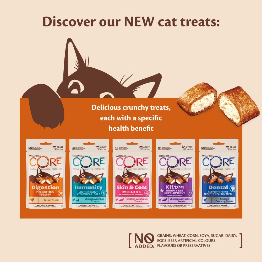 Wellness CORE Dental Treats - Grain Free, Dental Health Support | 50g 4