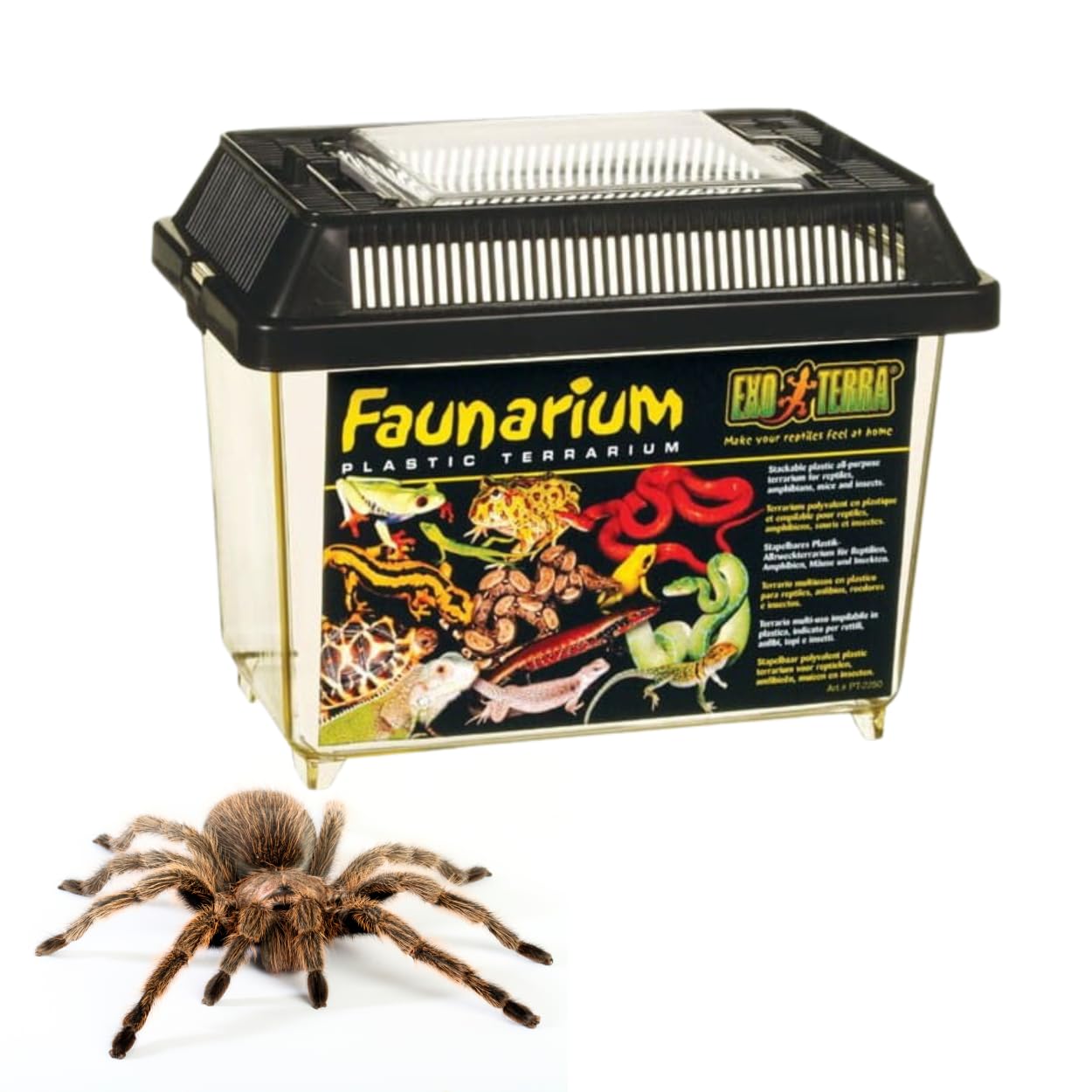 Exo Terra Faunarium Small PT2255 - Plastic Transport & Temporary Housing | 230x155x165 mm 1