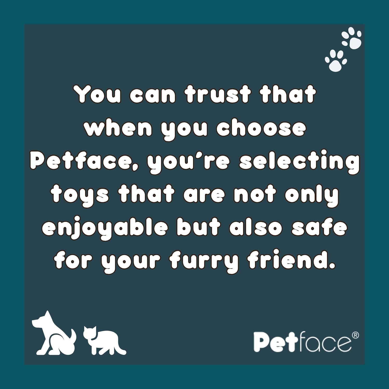 Petface Large Soft Latex Chew Dog Toy - Orange | Built-in Squeaker | Portable 6