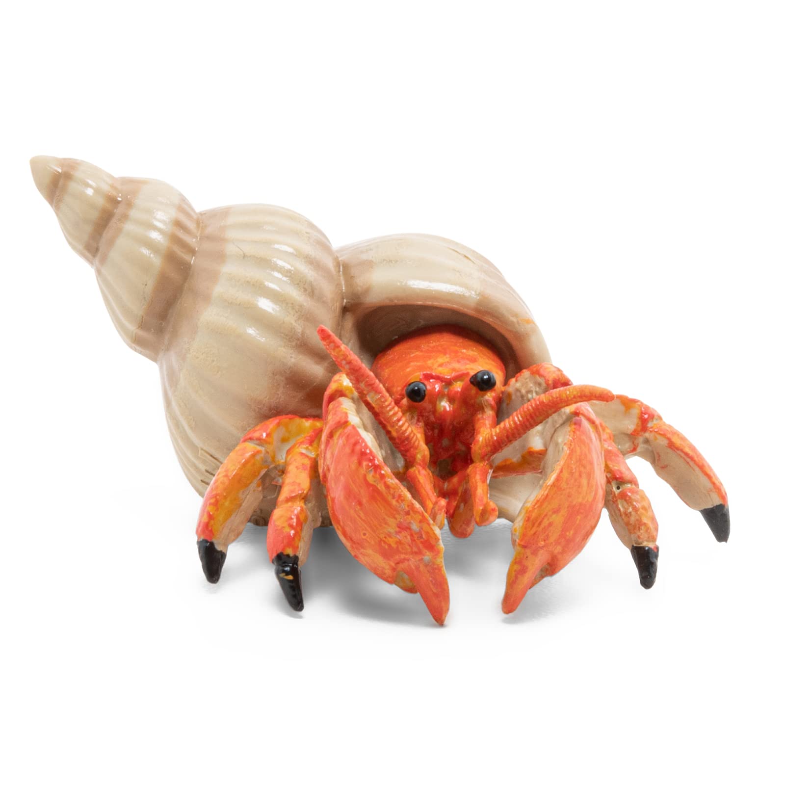Papo Hermit Crab Figurine - Hand Painted Marine Animal Toy for Kids 3+ | Model 56054 | 6.1 x 4.4 x 2.8 cm 7