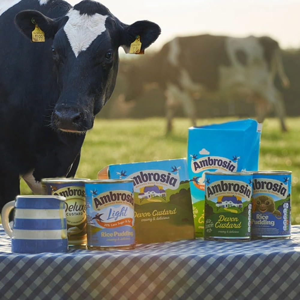 Ambrosia Devon Custard Dessert Pots - Rich & Creamy Ready-to-Eat Treat, 6 x 120g Pots 6