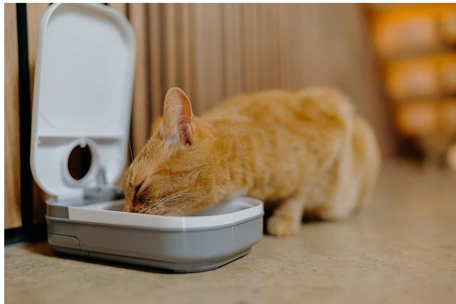 Cat Mate Digital Timer Automatic Pet Feeder - 400g Capacity | Battery Powered | Dishwasher-Proof Bowl 6