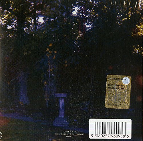 WOLF ALICE - Visions Of A Life [CD]