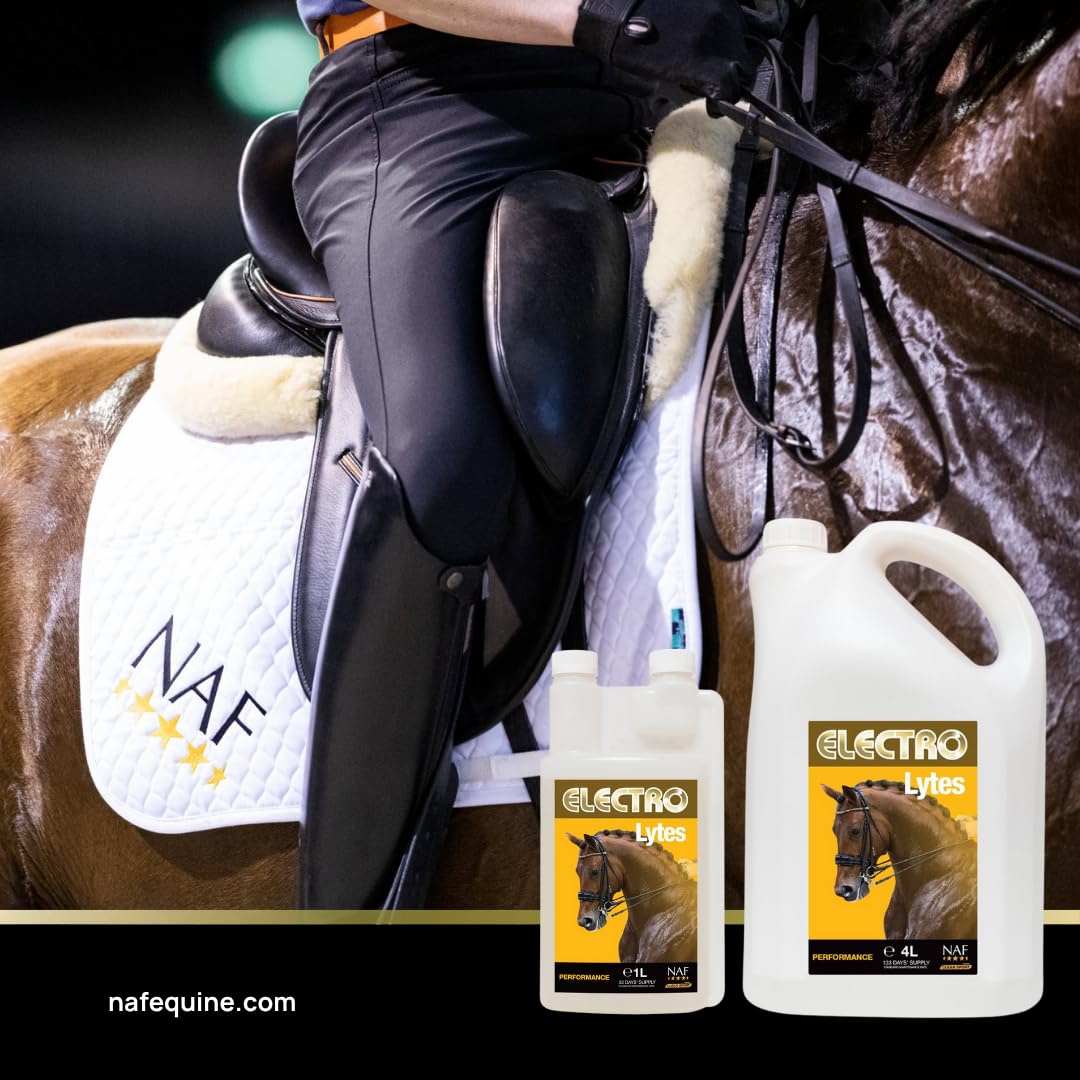 NAF Liquid Electro Lytes - Fast-Absorbing Electrolyte Supplement for Horses | 1L Bottle 3
