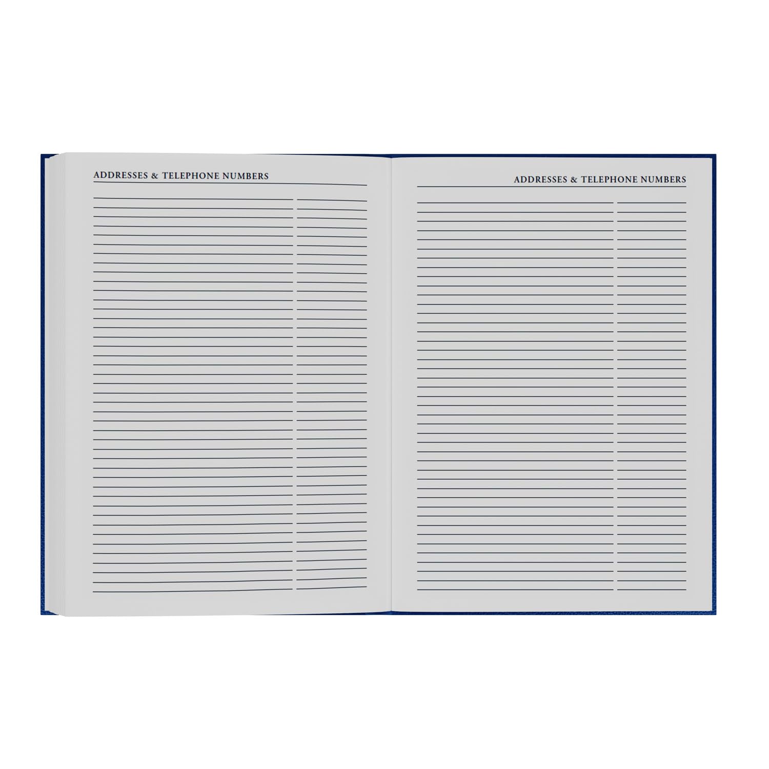 Collins 2026-2027 Mid/Academic Year Appointment Book & Planner - A4 Day-to-Page Organizer | July 2026 - July 2027 4