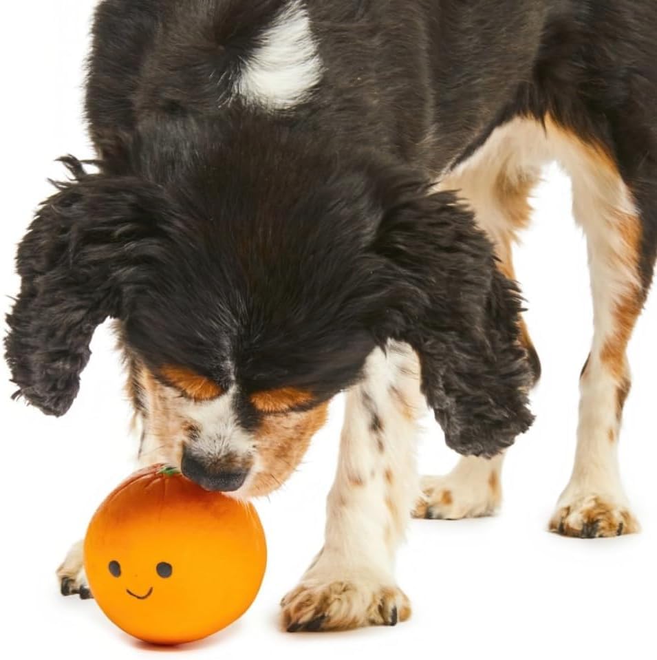 Petface Large Soft Latex Chew Dog Toy - Orange | Built-in Squeaker | Portable 2