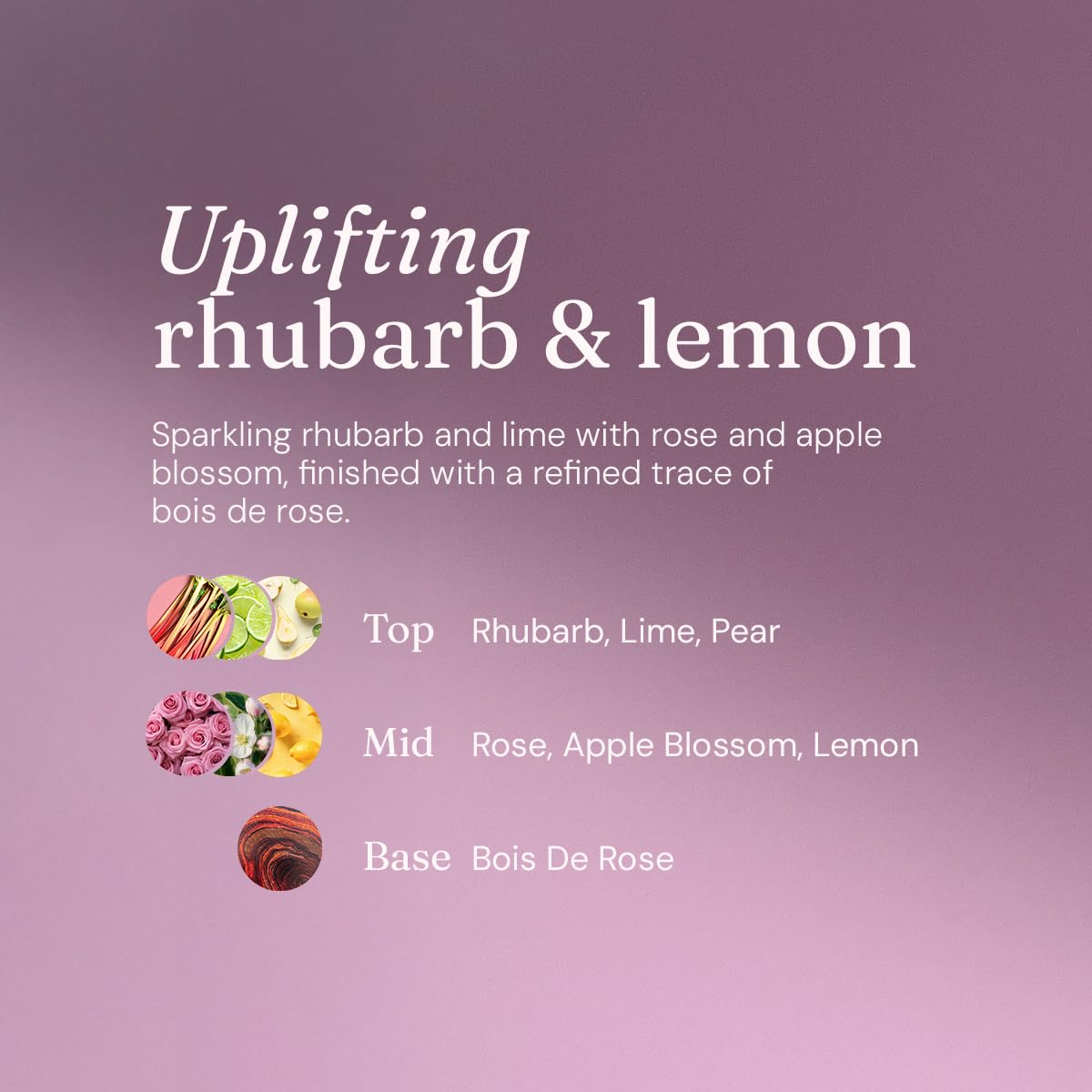 Miniml Washing-Up Liquid - Rhubarb & Lemon Scent | Plant Based Vegan Formula | 400ml 6