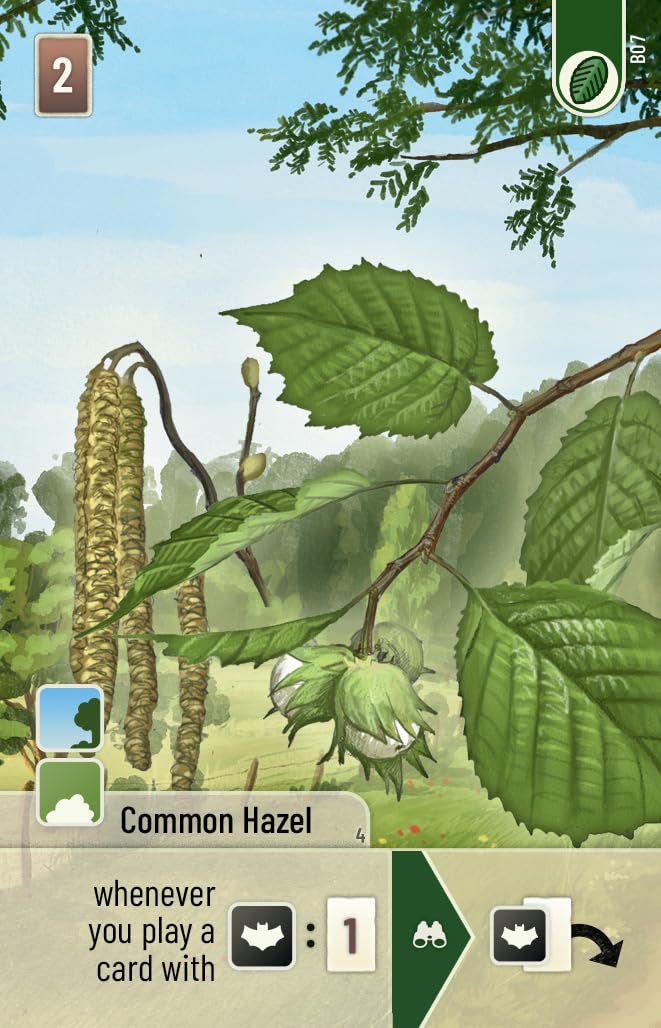 Lookout Forest Shuffle: Woodland Edge Card Game Expansion | Ages 10+ | 2-5 Players | 60+ Minutes 3
