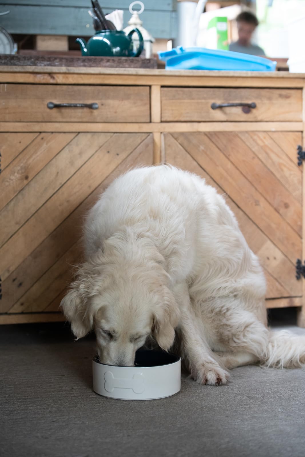 Petface Bone Ceramic Dog Bowl - 20cm Diameter | Durable Ceramic | Easy Clean