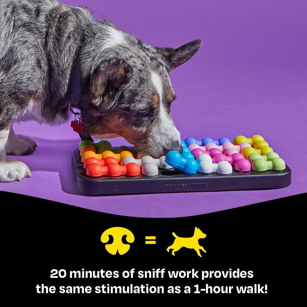 BrightKins Kanoodle Dog Edition Large - Interactive Treat Puzzle Toy for Mental Enrichment | BPA-Free Plastic 5