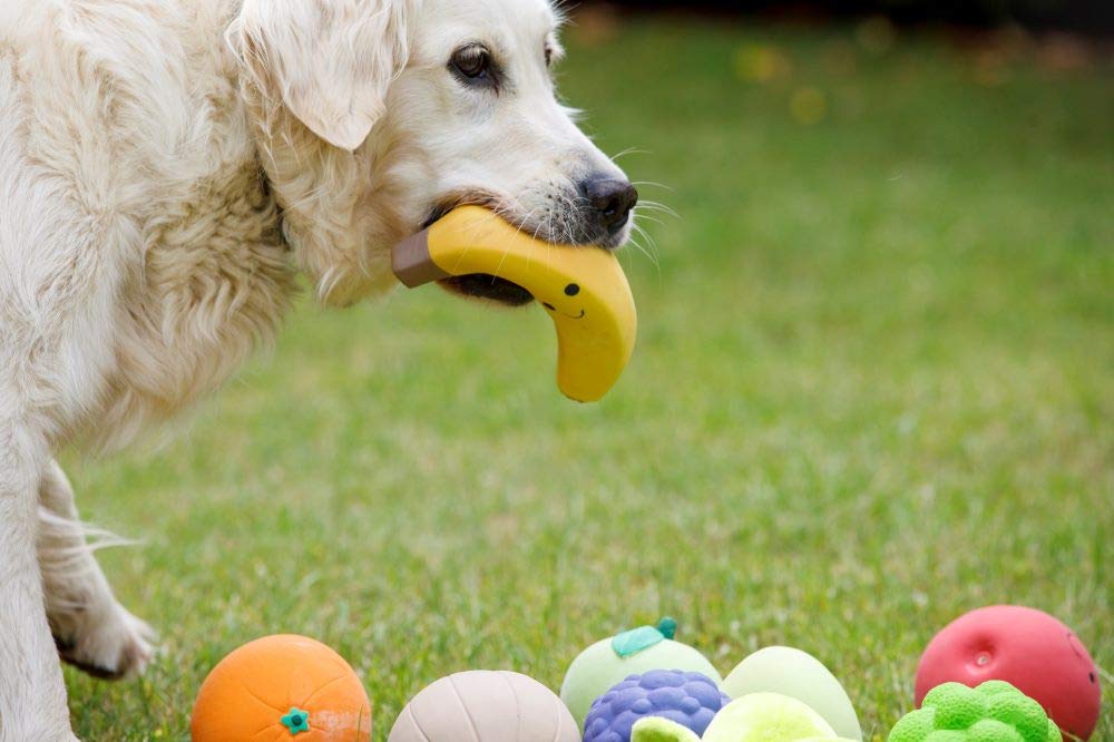 Petface Latex Apple Soft Chew Dog Toy - Small Size | Durable Squeak Toy 4