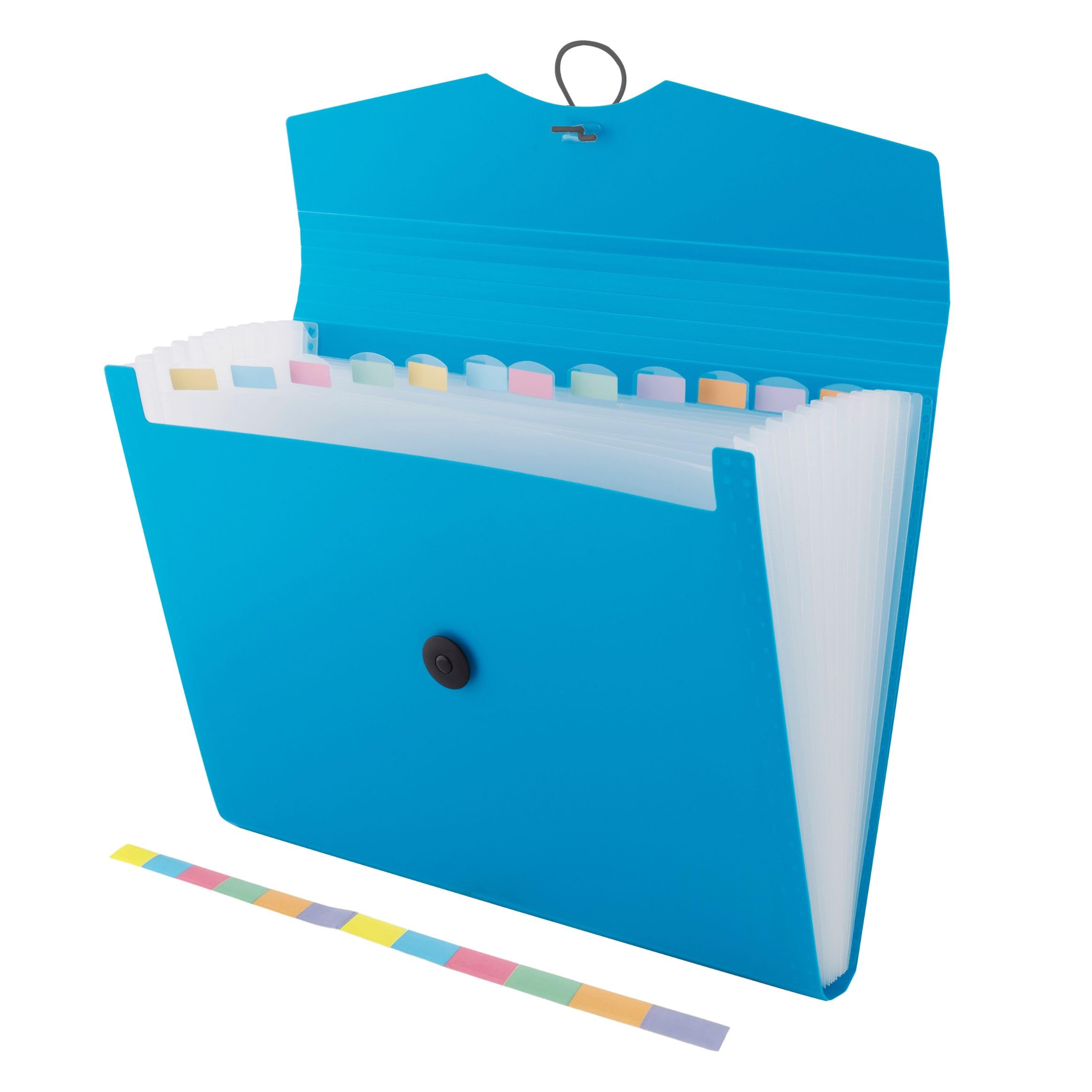 D.RECT Expandable File Organizer - 12 Pockets | A4 Size | Blue Polypropylene