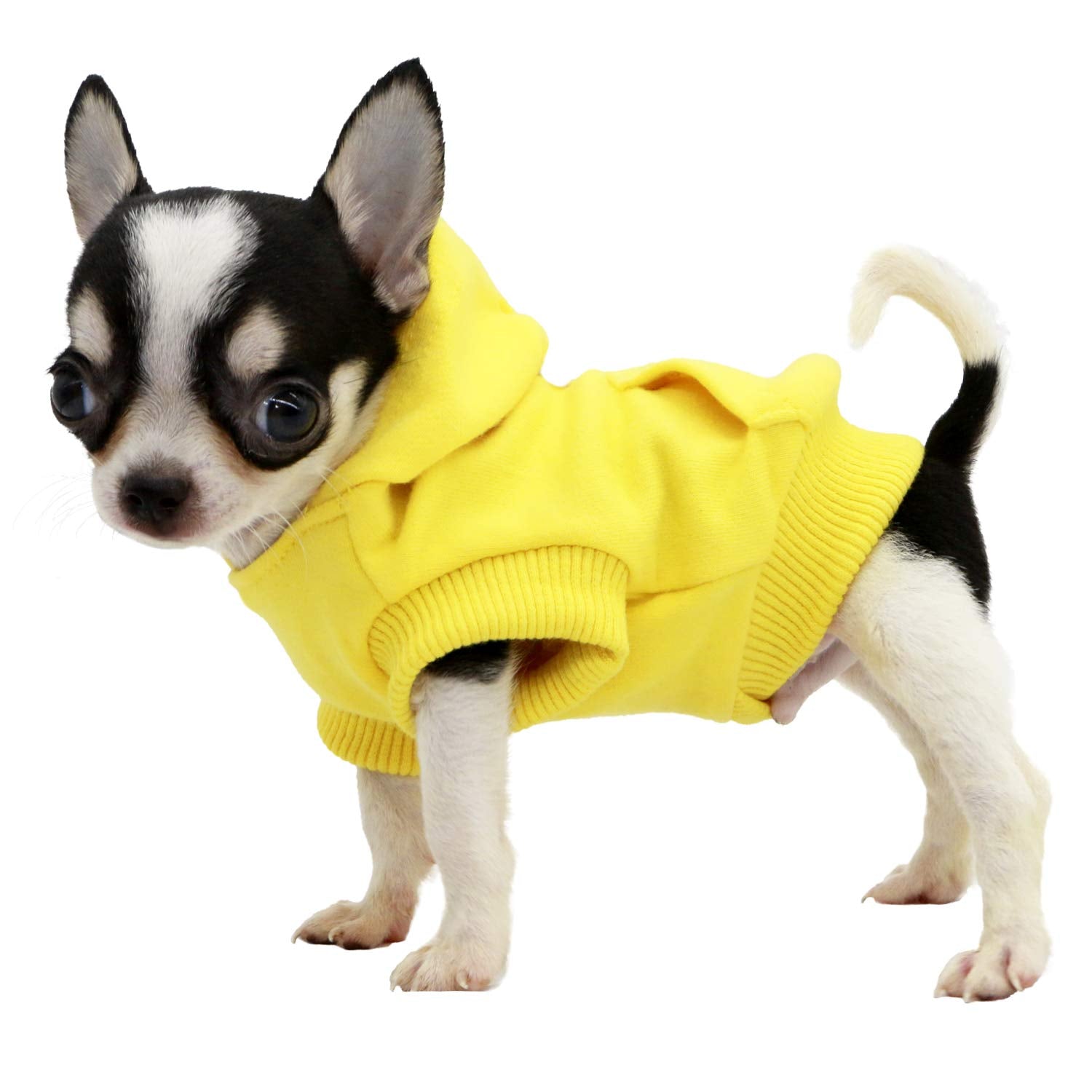 LOPHIPETS Dog Hoodie - Yellow, X-Small | Breathable Cotton Blend