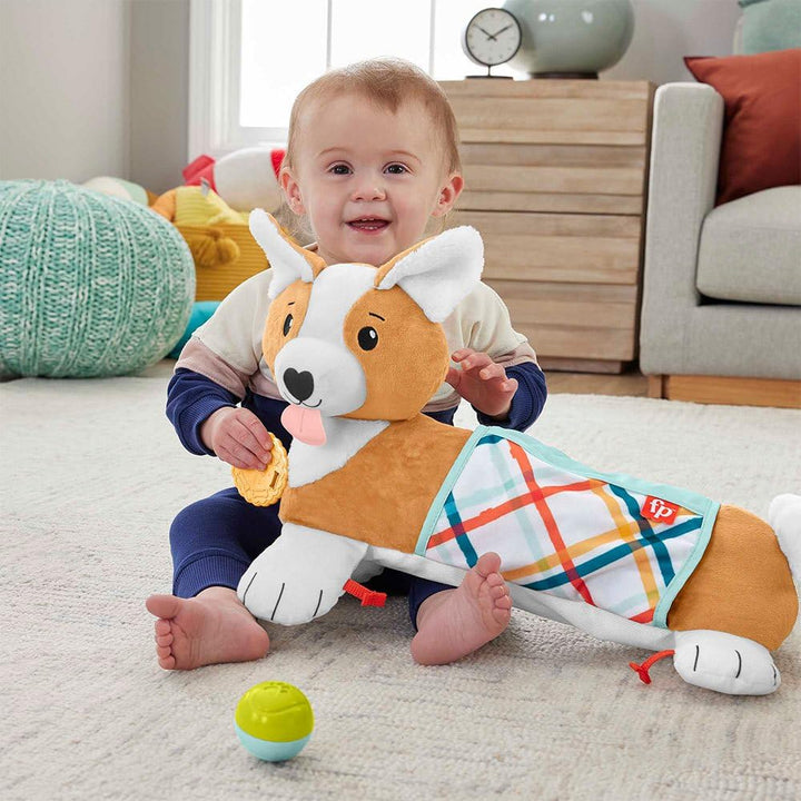 Fisher-Price 3-in-1 Puppy Tummy Time Wedge - Plush Support with Rattle, Teether & Mirror