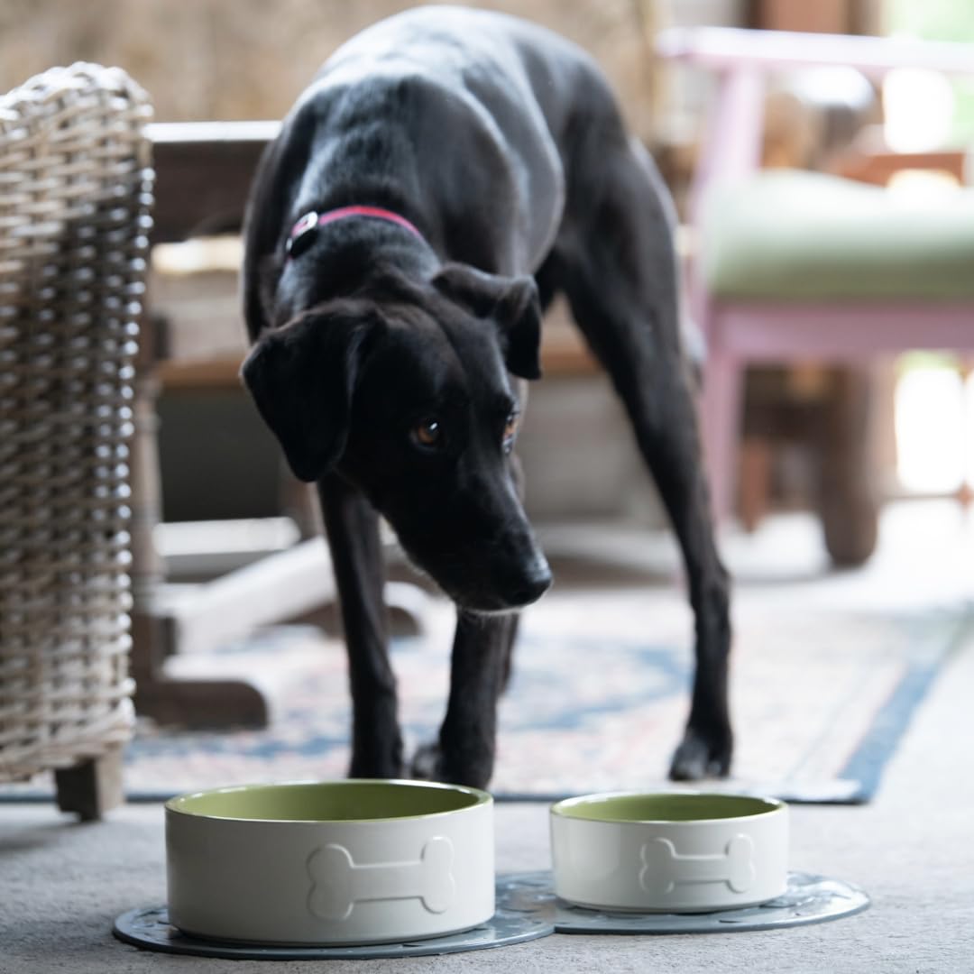 Petface Ceramic Bone Dog Bowl - 15 cm, Cream/Green | Durable | Pet Safe 6