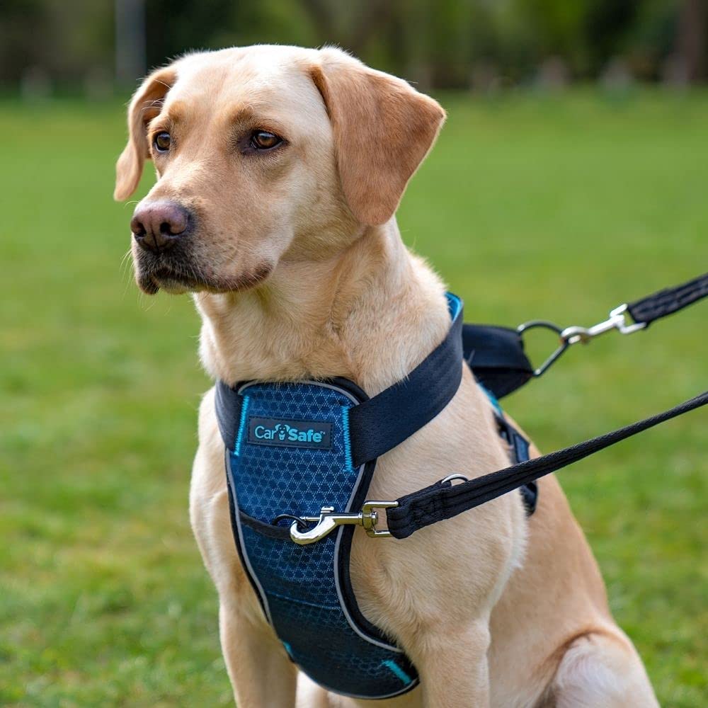 CarSafe Crash Tested Dog Harness - Large Blue | Certified up to 32Kg/70lbs | Dual Use 3