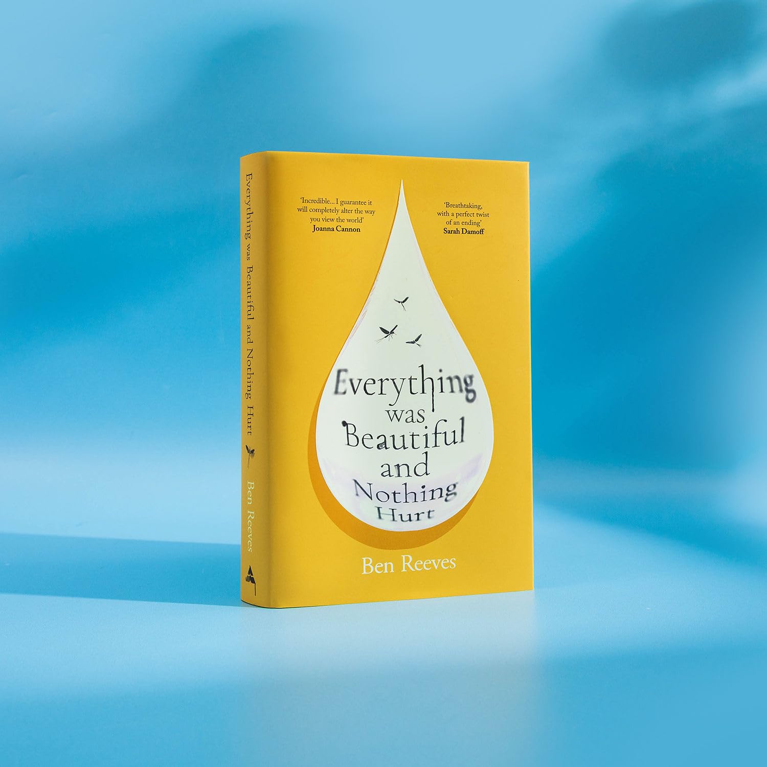 Everything Was Beautiful and Nothing Hurt: The gorgeous, uplifting top ten by Ben Reeves (Hardcover)