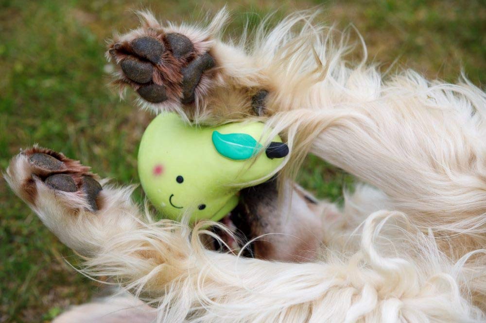Petface Latex Pear Soft Chew Dog Toy - Large Size, Durable, Squeaky | Natural Rubber 2