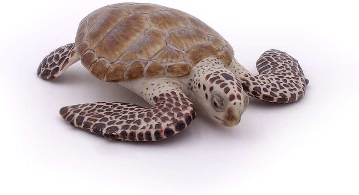 Papo 56005 Loggerhead Turtle Figure - Educational Marine Life Toy for Kids 3+ 1