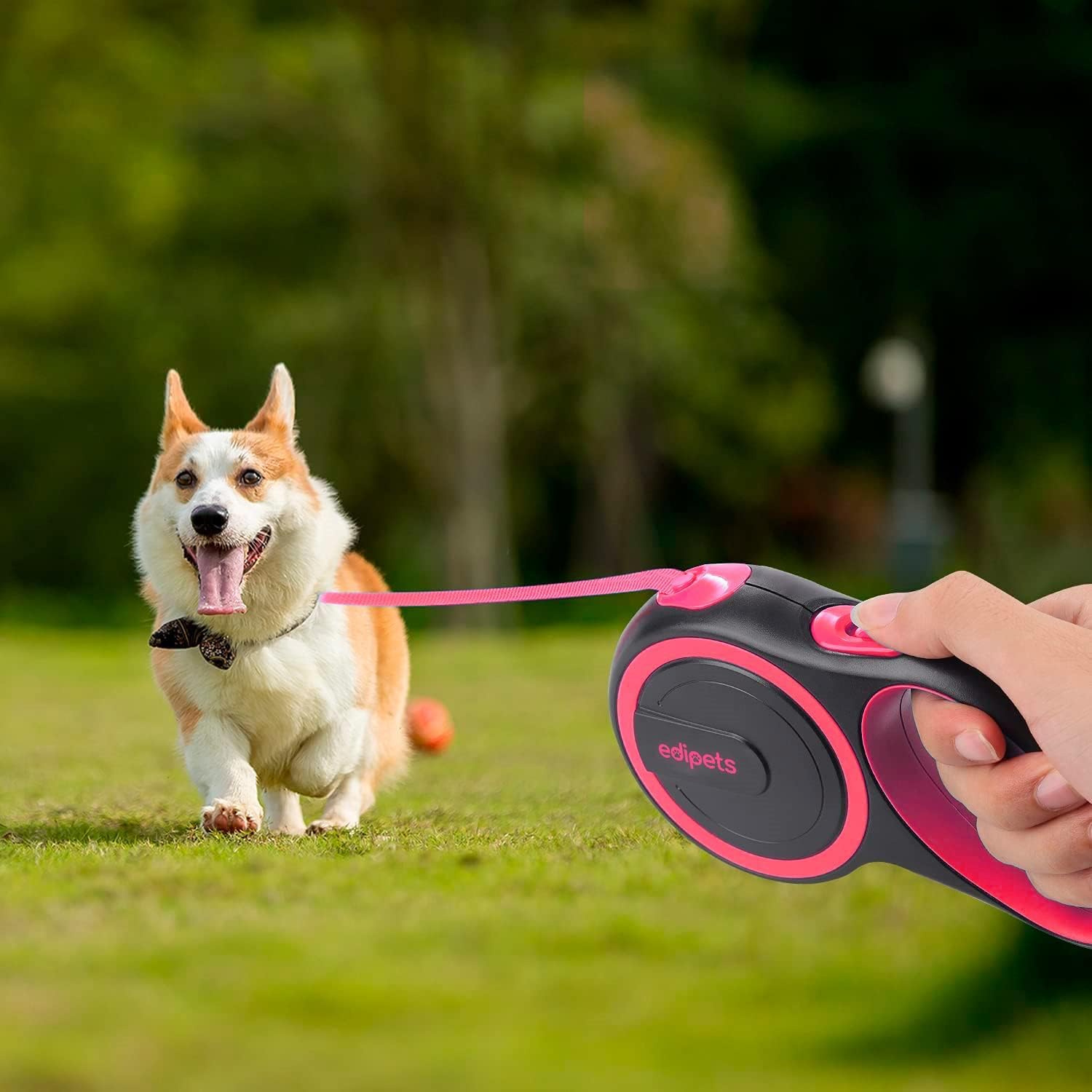 Edipets Extendable Dog Leash - Retractable Nylon Lead | 8 Metres | Pink 6