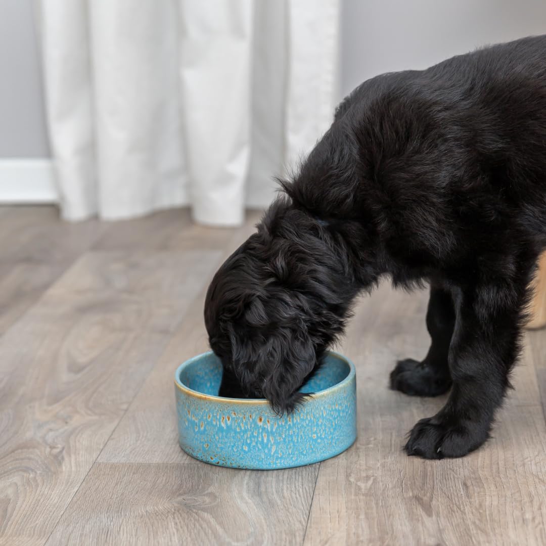 TRIXIE Ceramic Dog Bowl - 900 ml Capacity | Ø 16 cm | Heavy & Non-Slip 4