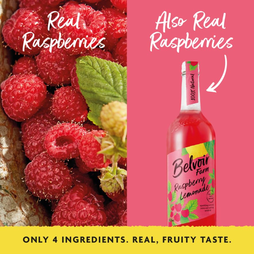 Belvoir Farm - Raspberry Lemonade Sparkling Drink (330ml Can) 6
