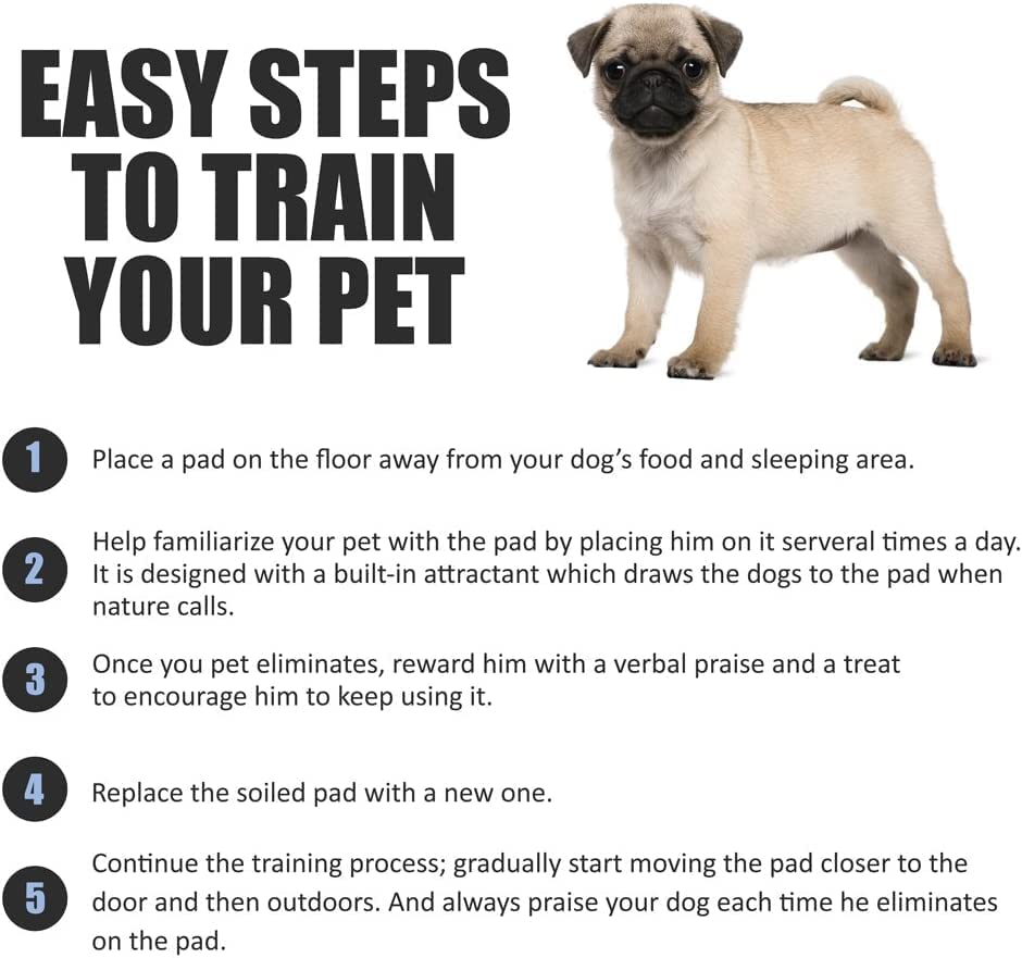 BARGAIN FACTORY Pet Potty Training Pads - 50 Pack | Super Absorbent | 56x56cm Size 3