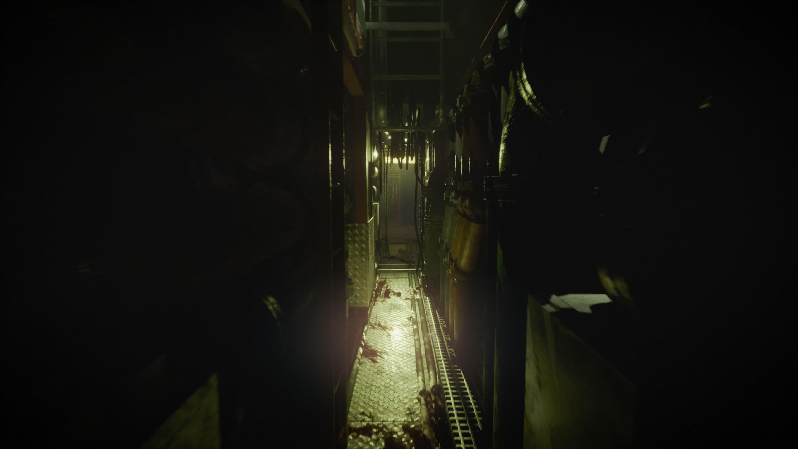 Still Wakes the Deep [PS5] 4