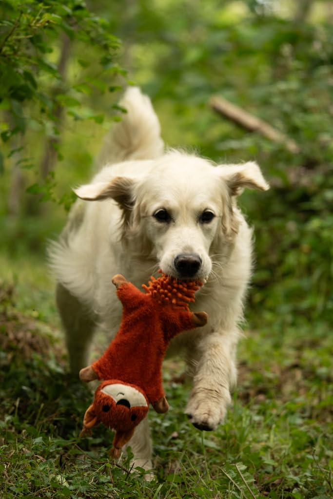 Petface Saffia Squirrel Crinkle Dog Toy - Built-in Squeaker | Polyester Plush | Orange 4