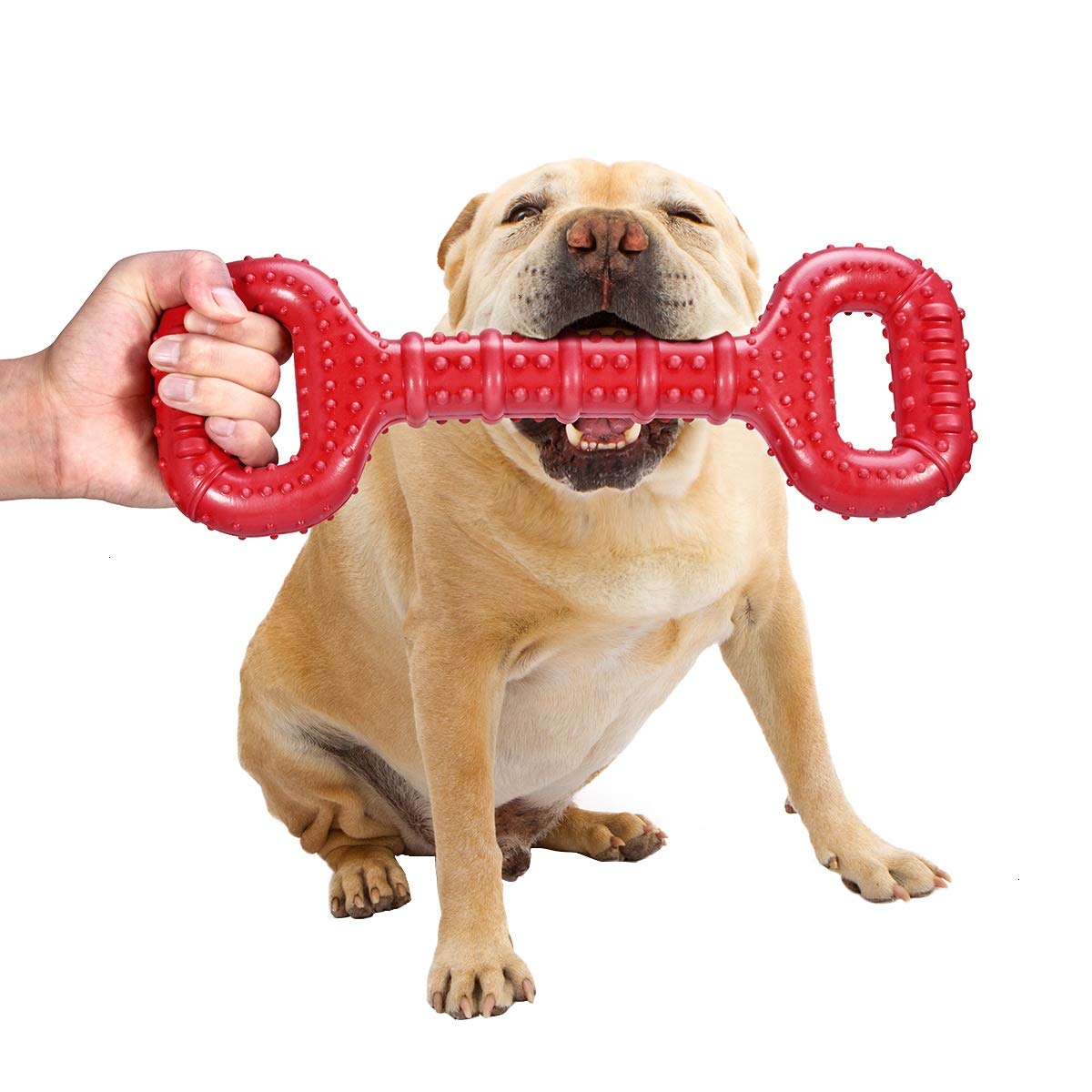 Feeko Large Breed Dog Chew Toy - 15 Inch Indestructible Bone for Dental Health | Natural Rubber | Beef Scent 1