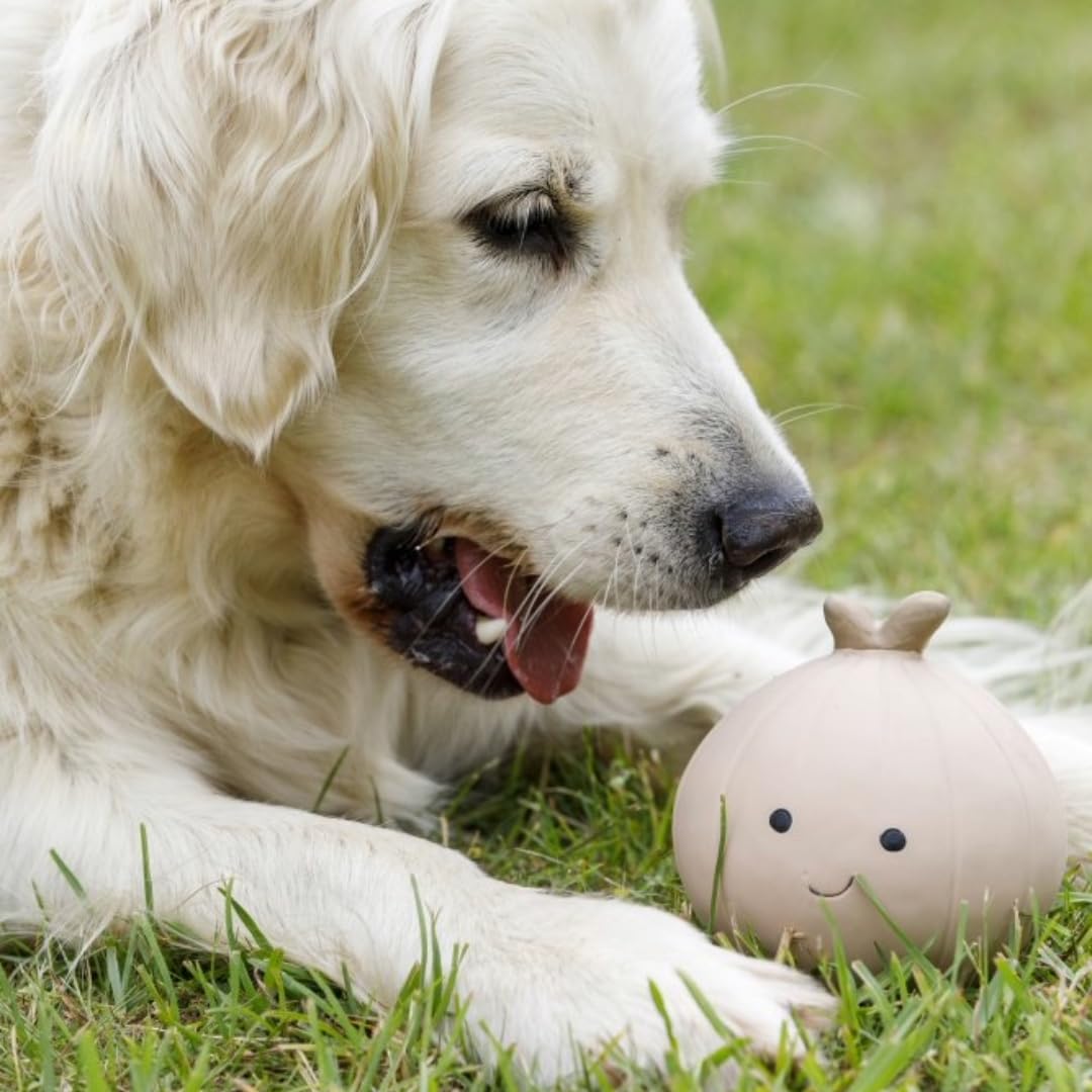 Petface Latex Onion Soft Chew Dog Toy - Large Size | Durable Natural Rubber 2