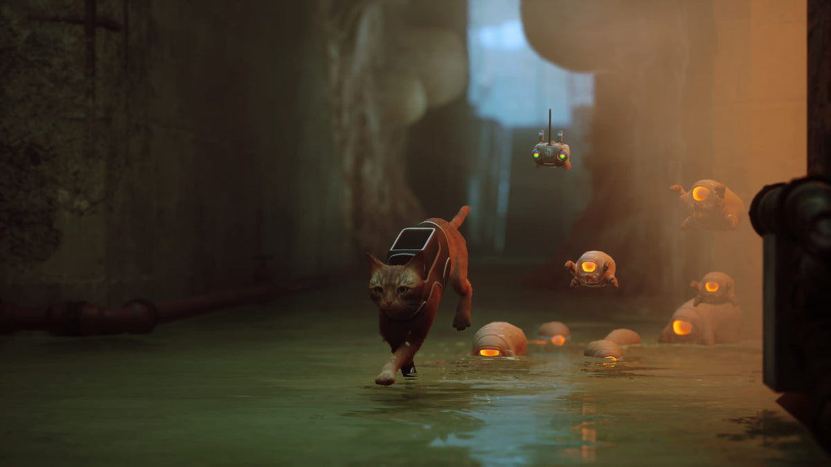 Stray [Xbox Series X]