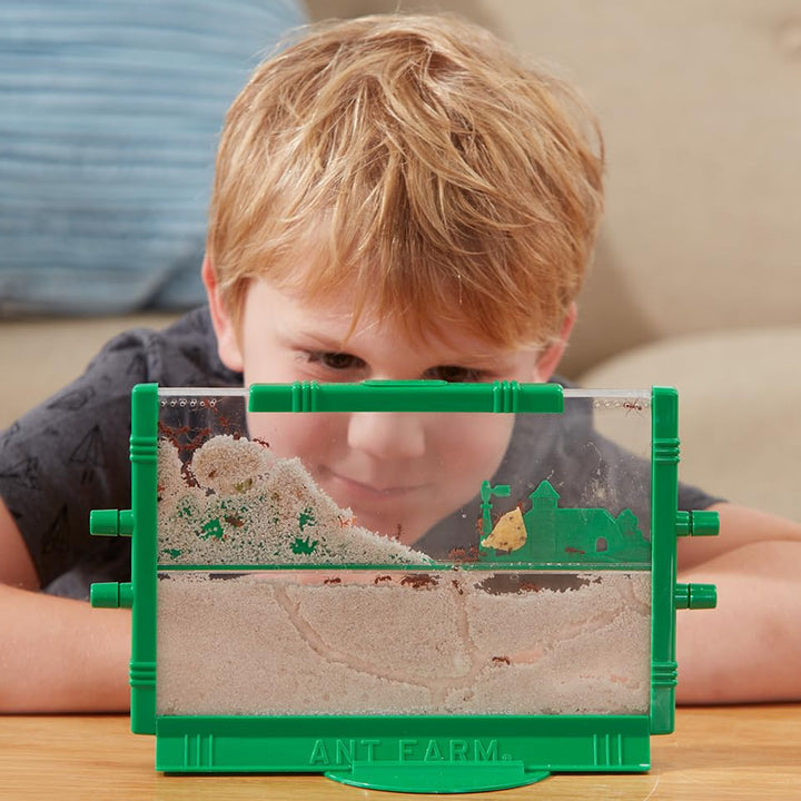 Uncle Milton Giant Ant Farm - Educational Playset with 4 Antports for Connecting Habitats