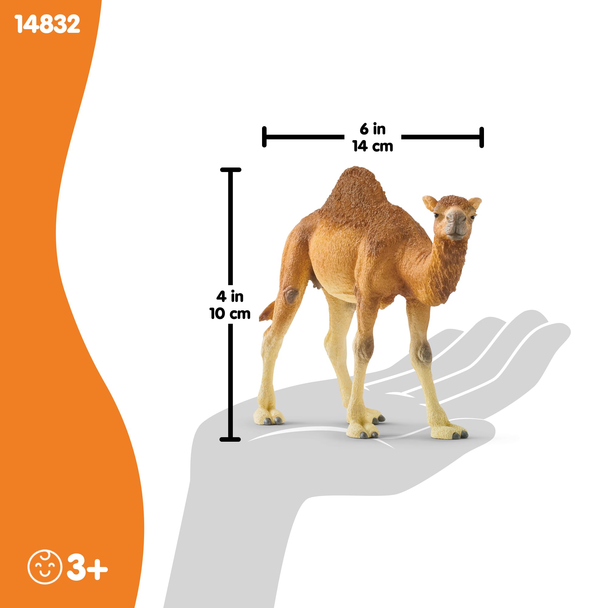 Schleich 14832 Dromedary Wild Life Toy Figurine | Ages 3-8 | Beige/Brown 5