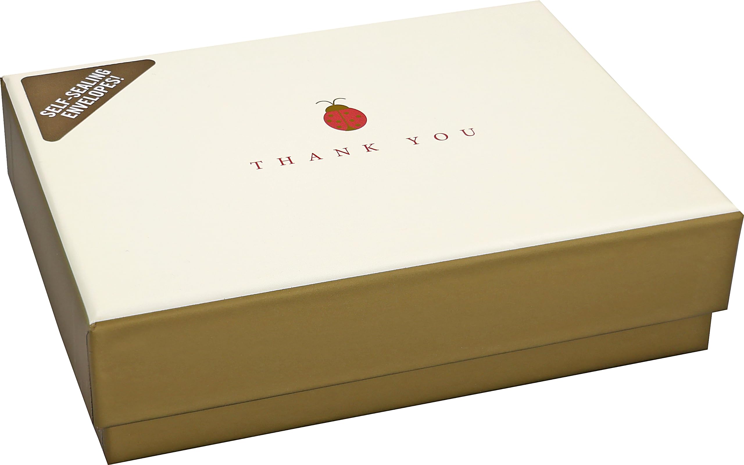 Peter Pauper Press Lady Bug Thank You Notes - 14 Cards & 15 Envelopes | Blank Interior | 5" x 3.5" 4