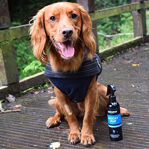 Animology Mucky Pup No-Rinse Shampoo Puppy Spray - Waterless Deodorizing for Puppies 6+ Weeks | 250ml 2