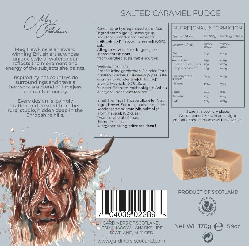 Gardiners of Scotland Salted Caramel Fudge - Luxury Handmade Soft Fudge | 170g Carton 2