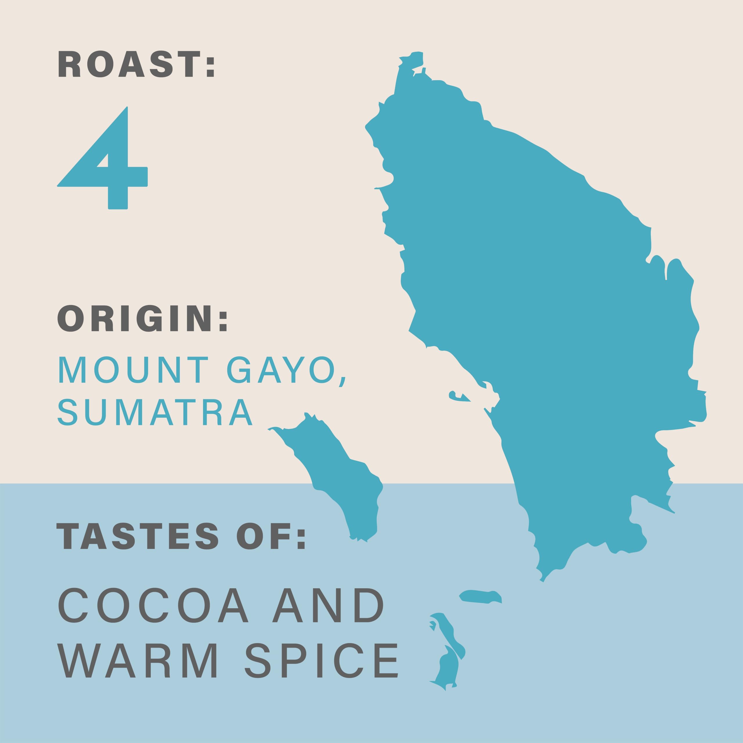 Grumpy Mule Sumatra Mount Gayo Bio-Kaffeebohnen – Fairtrade, mitteldunkle Röstung mit Kakao und warmen Gewürznoten
