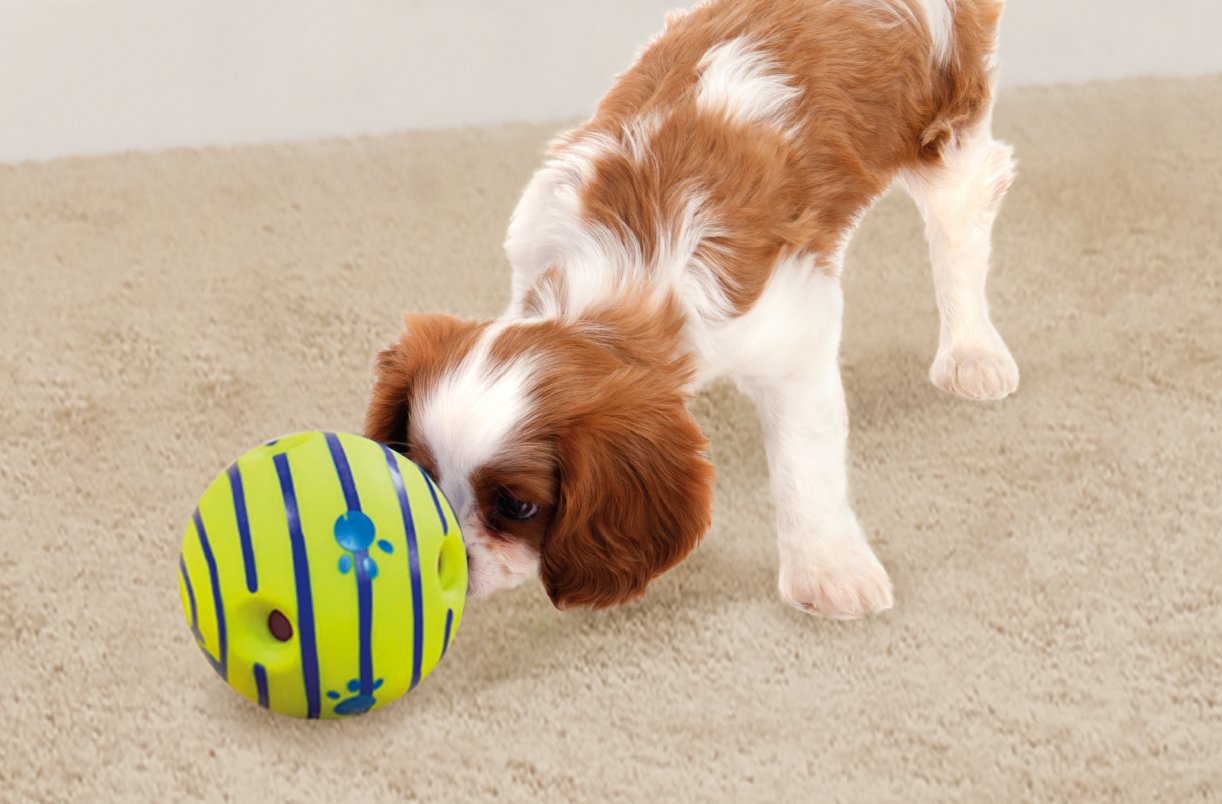 Wobble Wag Giggle Interactive Sound Dog Toy Ball | Medium Size | Green Vinyl 2