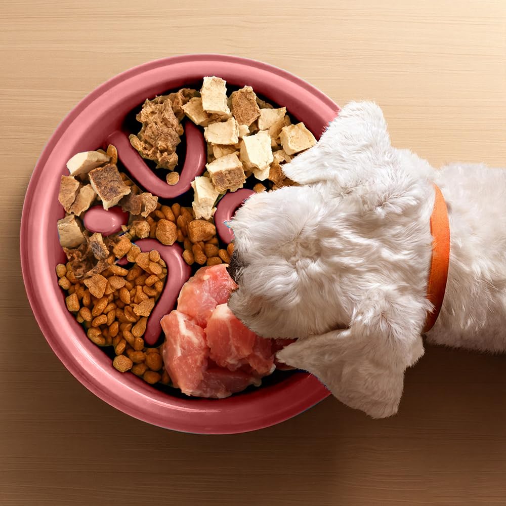 Woobroo Slow Feeder Dog Bowl - Anti-Choking Puzzle Design | Holds Up to 2 Cups | Pink 8
