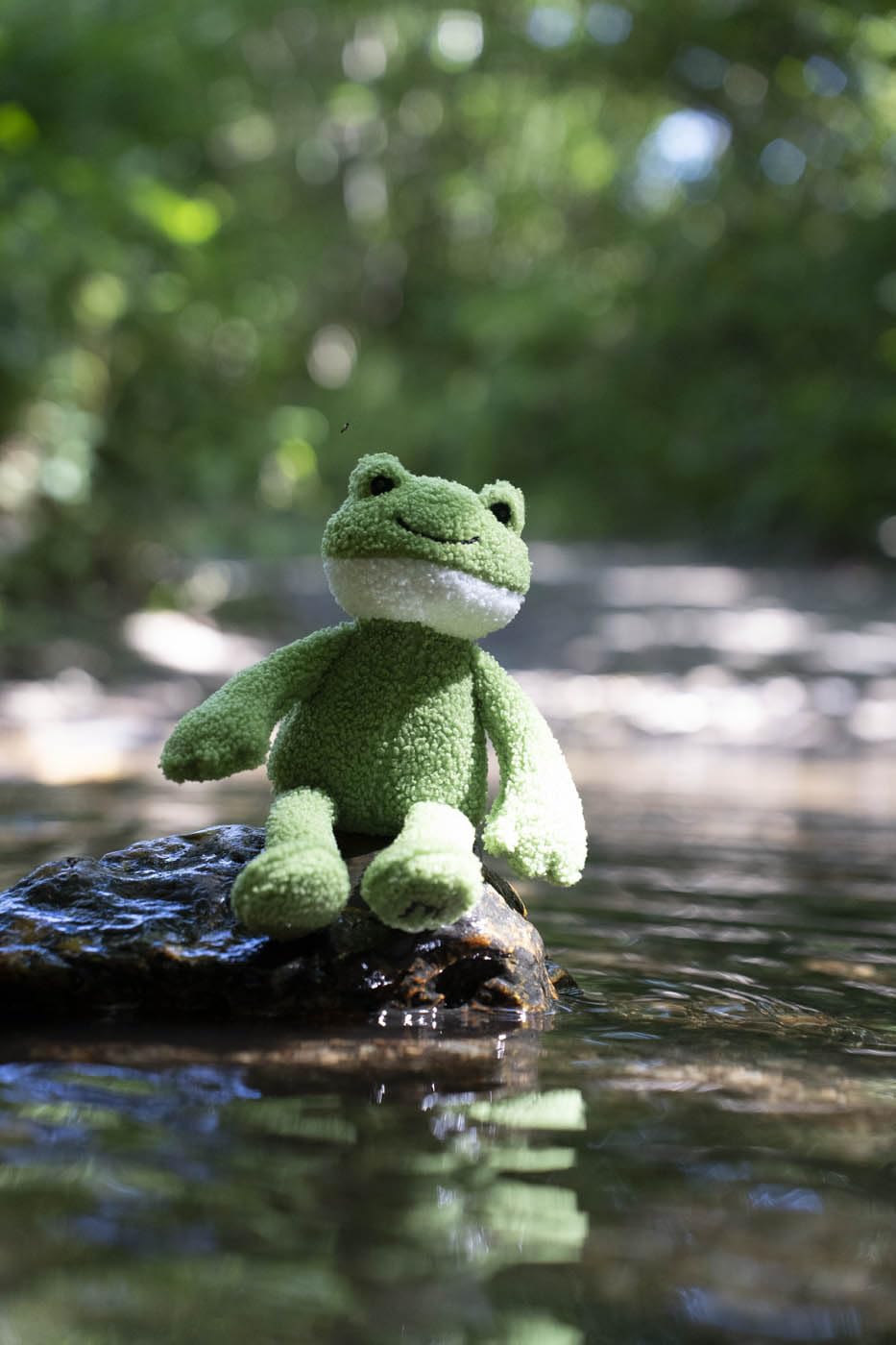 Petface Little Petface Finlay Frog Plush Dog Toy with Squeaker | Lightweight for Small Dogs | Green 9