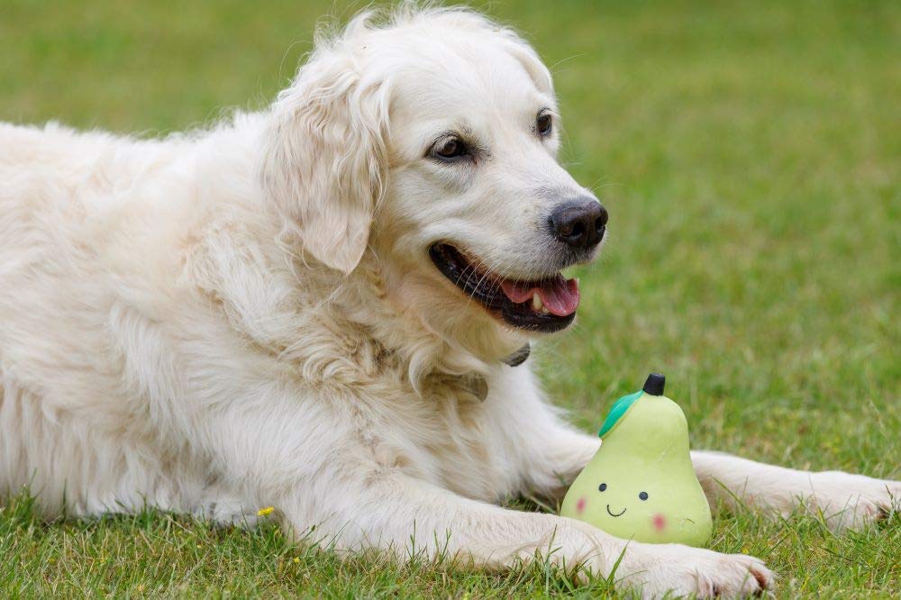 Petface Latex Pear Soft Chew Dog Toy - Large Size, Durable, Squeaky | Natural Rubber 3