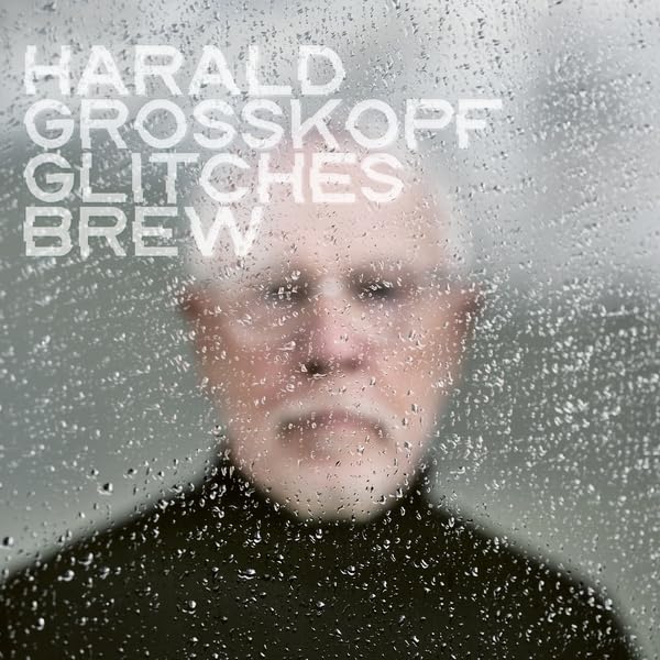 Harald Grosskopf - Glitches Brew [audioCD] 1